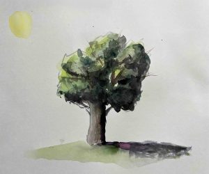 22. lecke A fák és árnyékok ábrázolása (Akvarell tájkép)