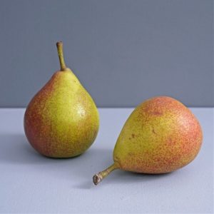 11. lecke A csendélet kompozíció kialakításának folyamata 1. (Akvarell 2. Csendélet Festés)