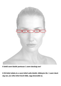 12. lecke Az emberi arc arányai 1. elmélet (Bevezetés a Portréfestészetbe)