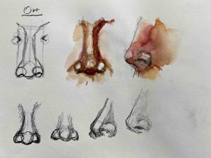 25. lecke orr festése (Akvarell 4. Portréfestés)