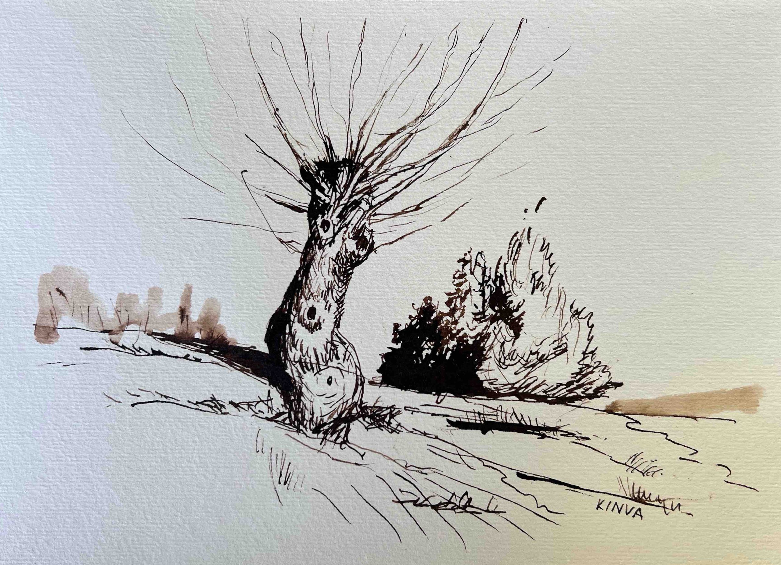 Rajzolás és Festés Diópáccal Online Tanfolyam - Image 9