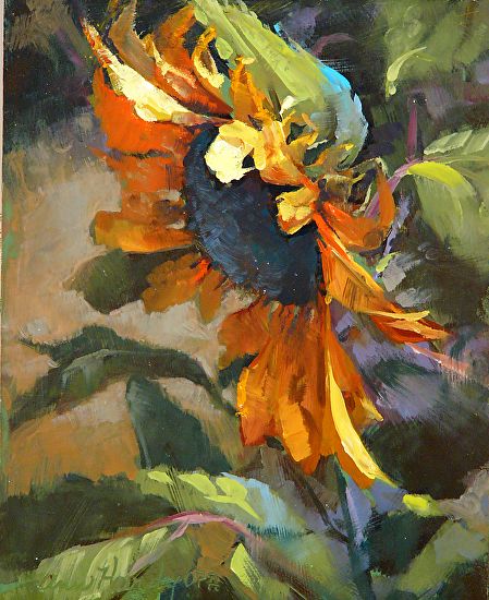 KATA BÚCSÚZTATÓ 4 db. Online Oktatóvideó Csomagajánlat - Image 9