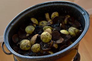 4. lecke A diópác készítés hagyományos módszere (Rajzolás és Festés Diópáccal)