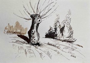 13. lecke  1. oktatóvideó (Rajzolás és Festés Diópáccal)