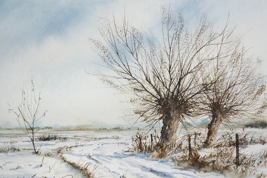 a568fd31c4540266d60b7a71132bd8d9