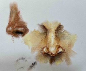 32. Lecke: Orr rajzolása pasztell krétával, videó (Pasztell 4. Portréfestés) 