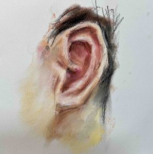 34. Lecke: Fül rajzolása pasztell krétával, videó (Pasztell 4. Portréfestés) 